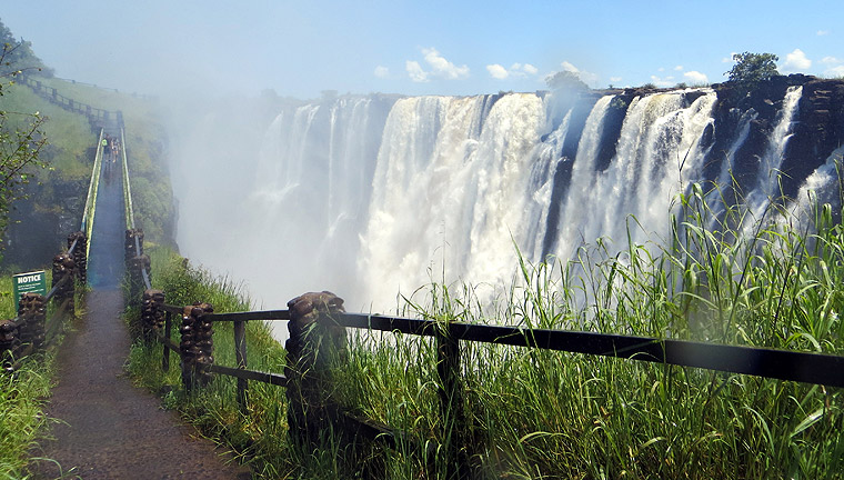 The Beauty of the Victoria Falls Rainforest | GloHoliday