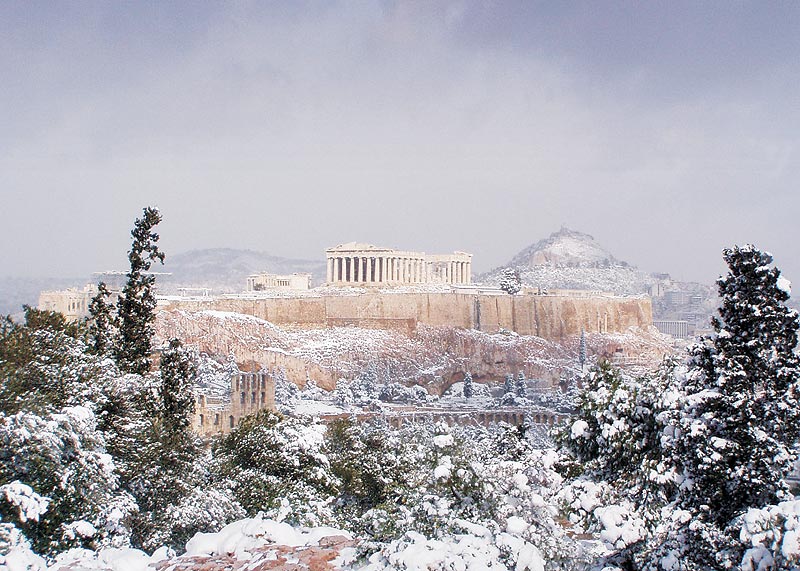 Athene in de Winter