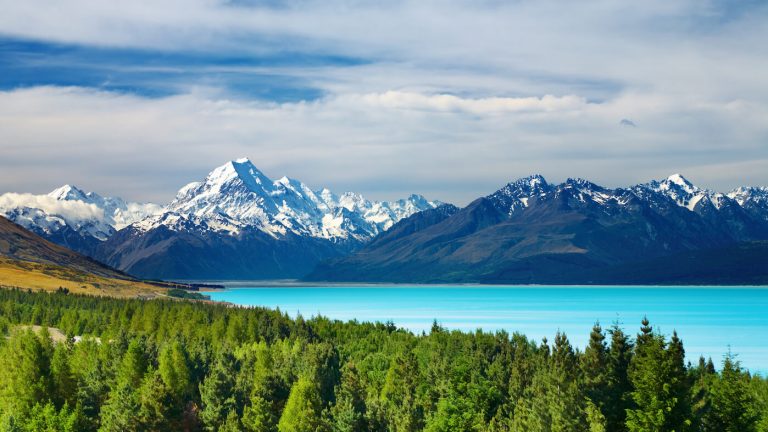 Five New Zealand Experiences That You Don’t Want to Miss Out On ...